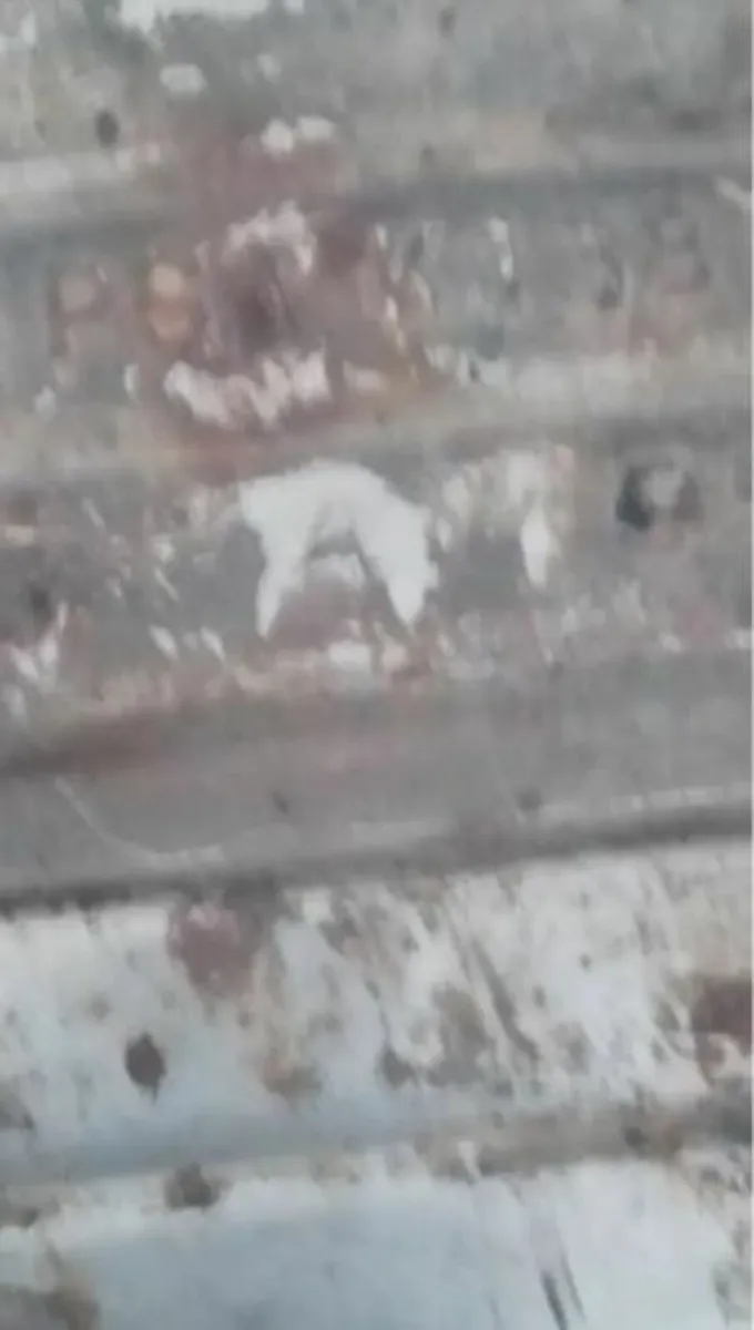 Scrap Catalytic Converter Peugeot K138 - Image 2