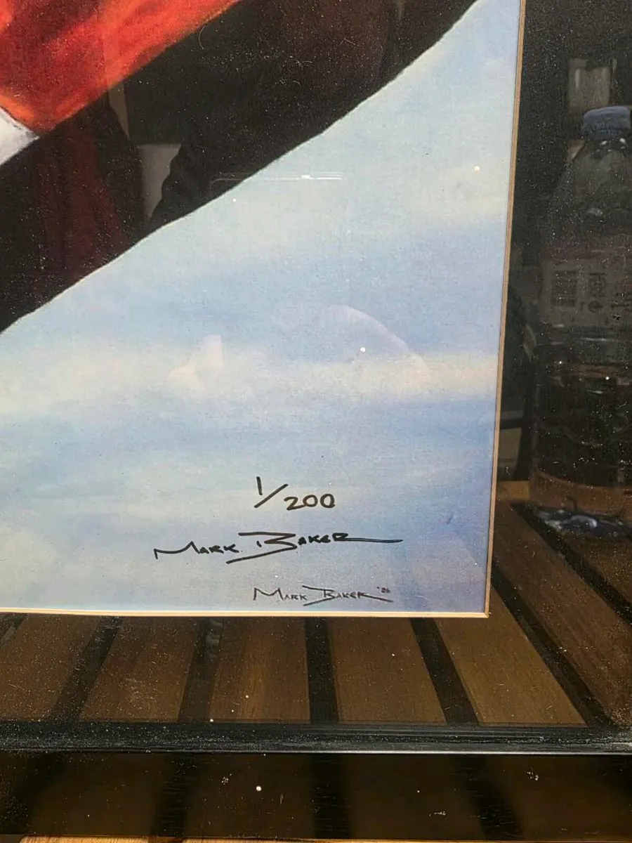 Mark Baker print 1/200 "Patriotic Bono" - Image 2