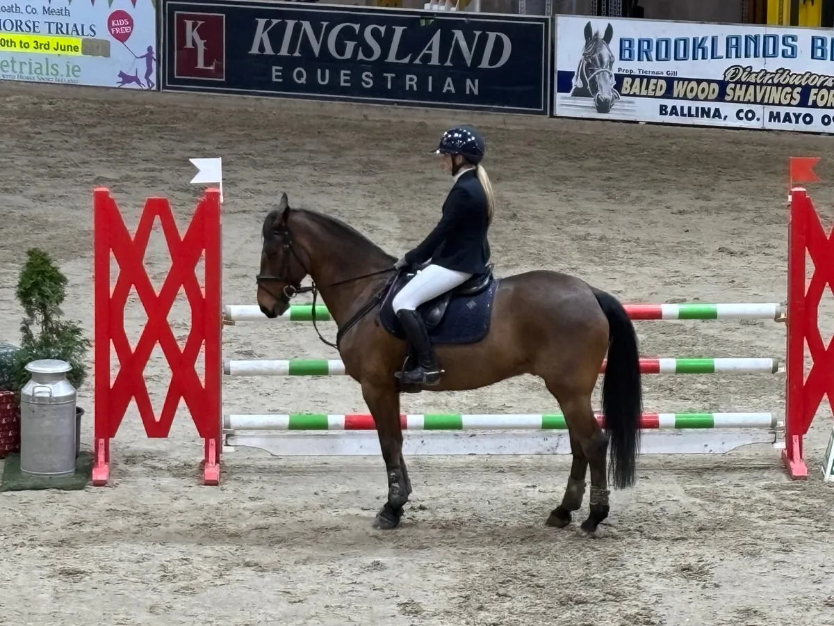 148 Pony - Schoolmaster - Image 3