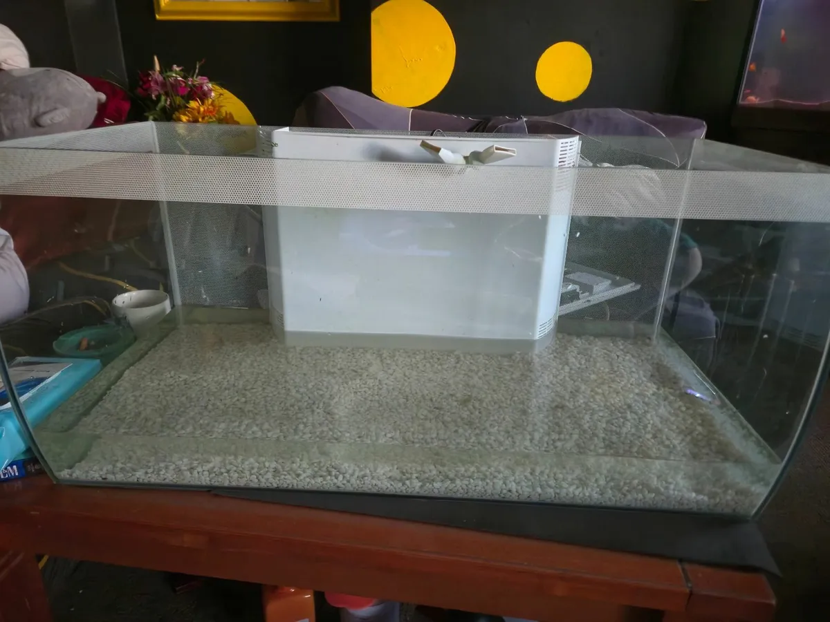 Aquarium/fish tank - Image 1