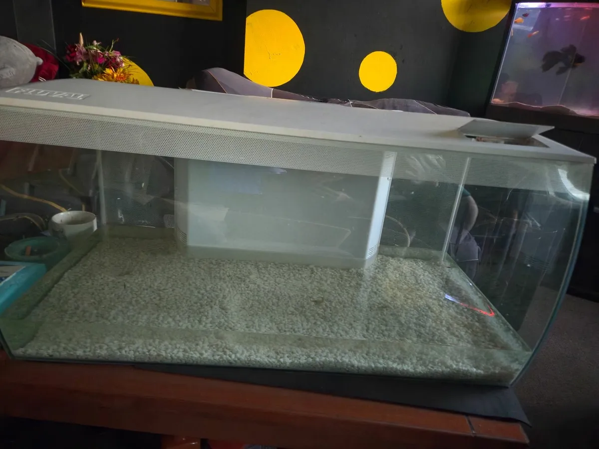 Aquarium/fish tank - Image 3