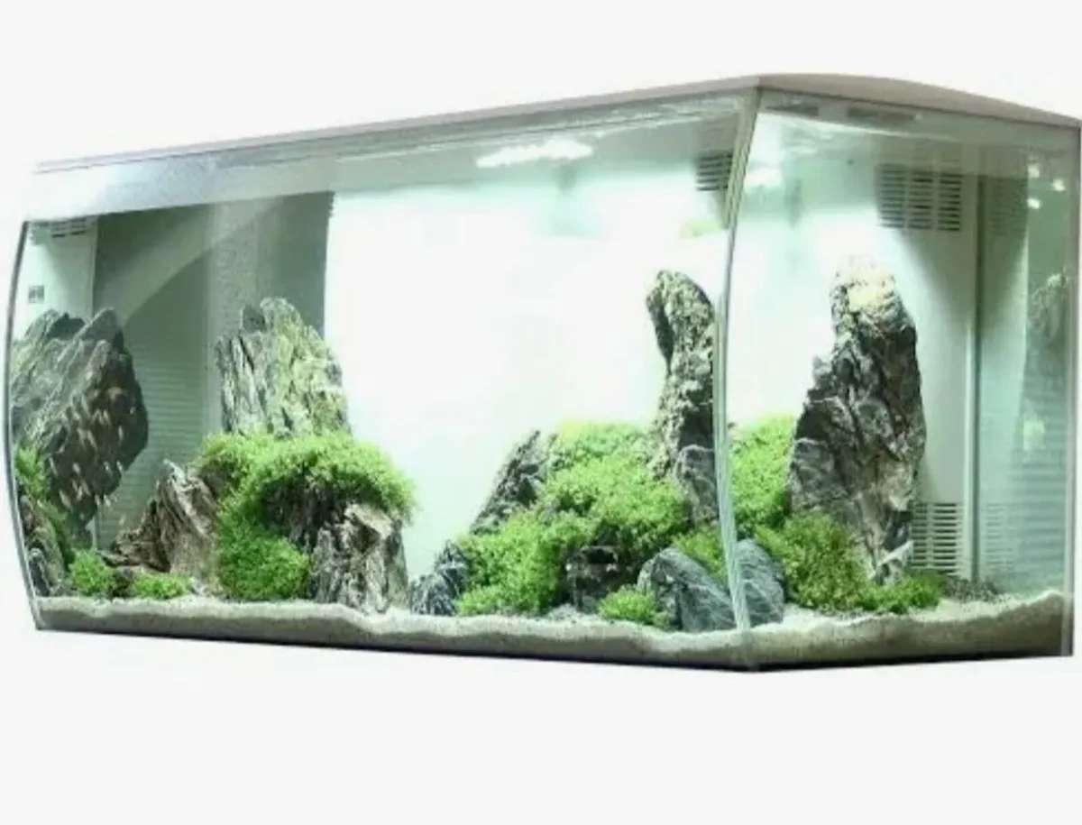 Aquarium/fish tank - Image 4