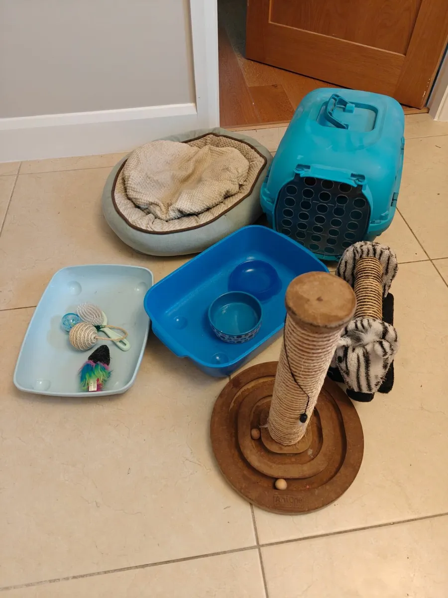 Assorted cat accessories