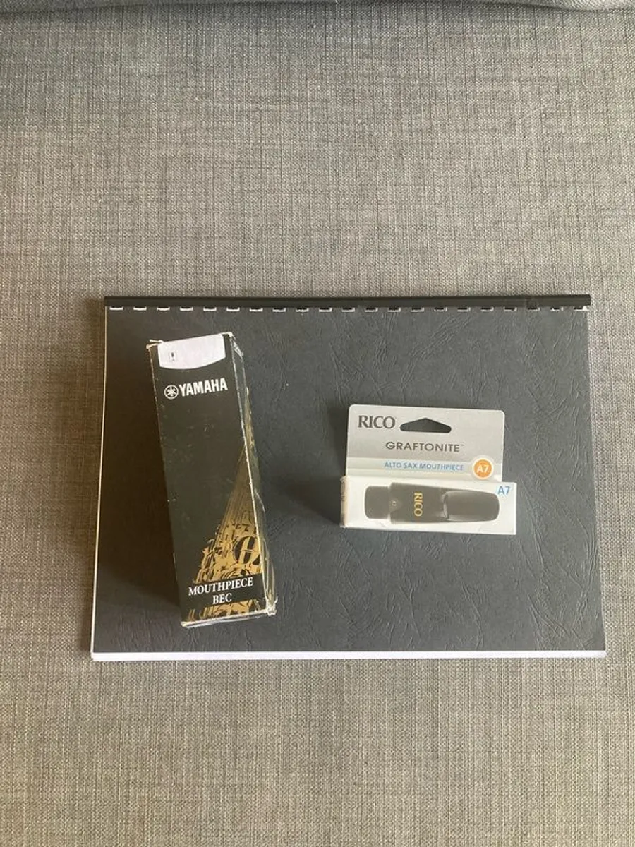 Saxophone mouthpiece and gigbag case - Image 1
