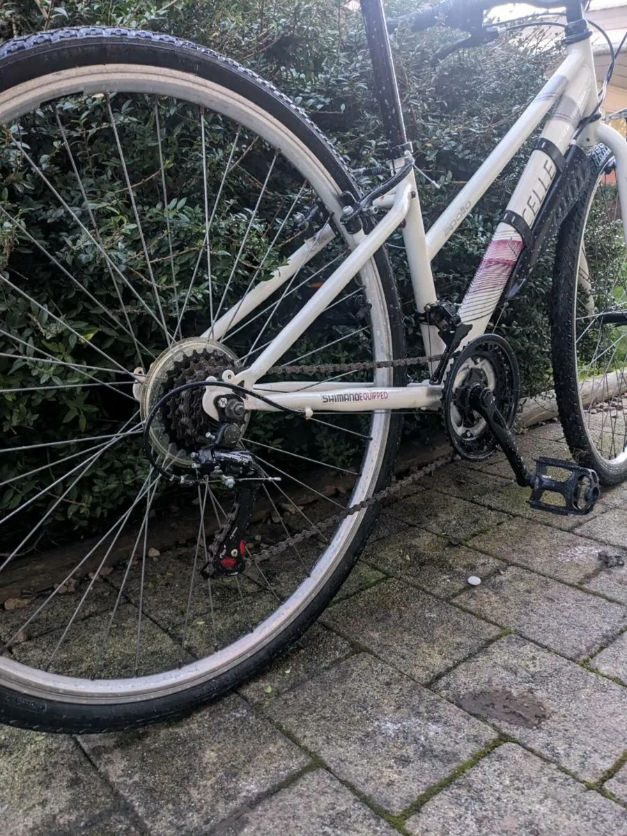 Apollo excell Bike - Image 3