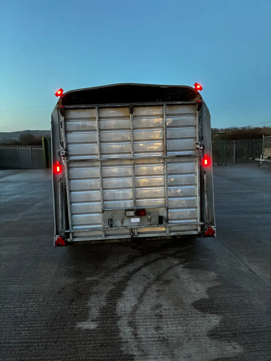 14ft ifor Williams cattle box - Image 4