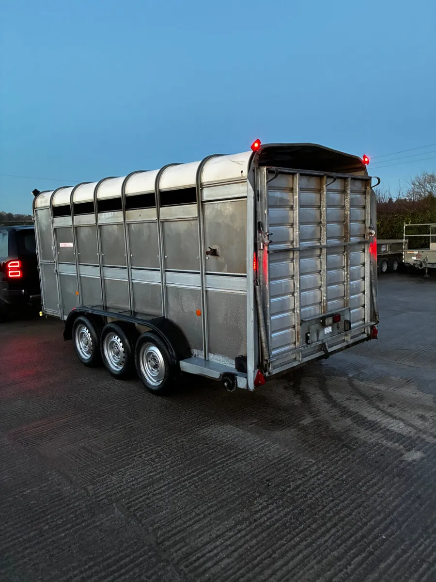 14ft ifor Williams cattle box - Image 3