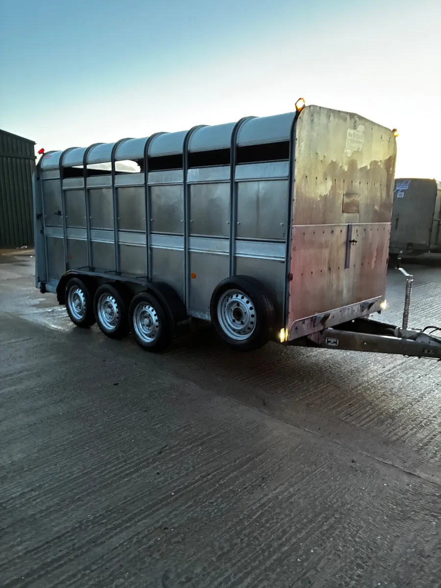 14ft ifor Williams cattle box - Image 2