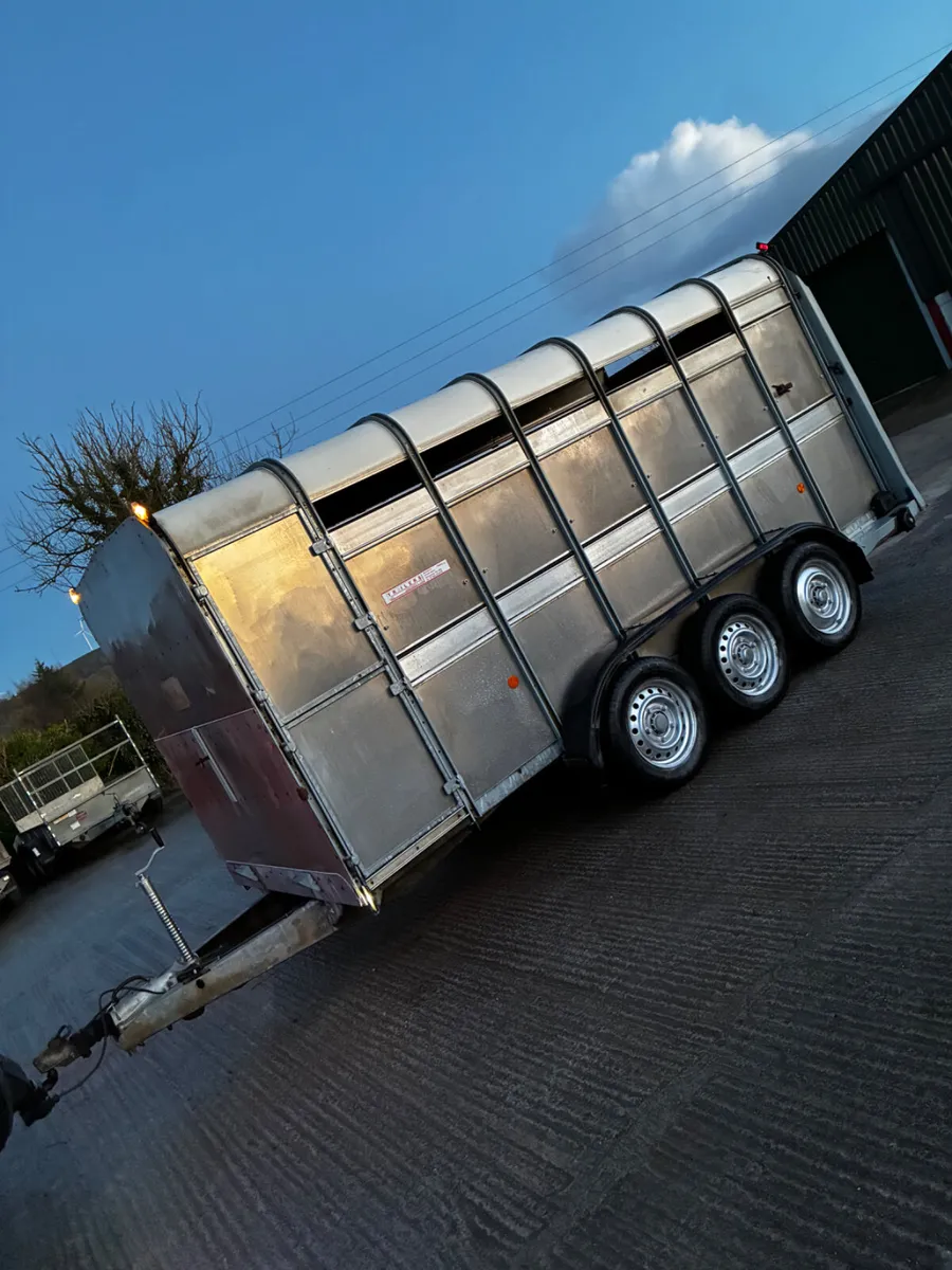 14ft ifor Williams cattle box - Image 1