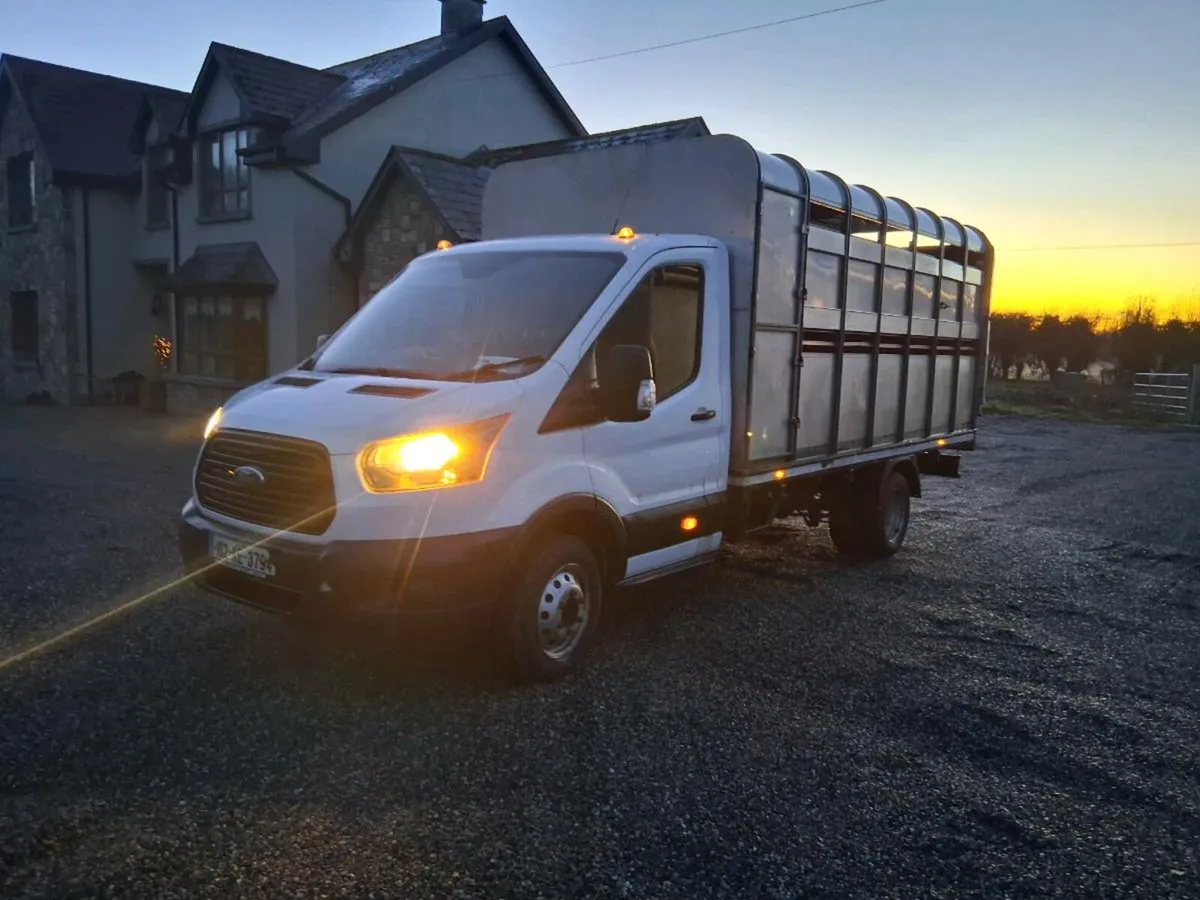 Ford transit Livestock Pickup - Image 2