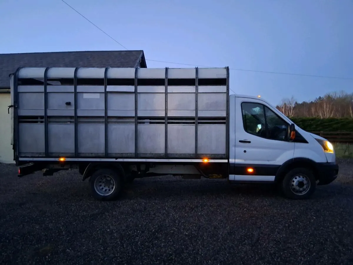 Ford transit Livestock Pickup - Image 3