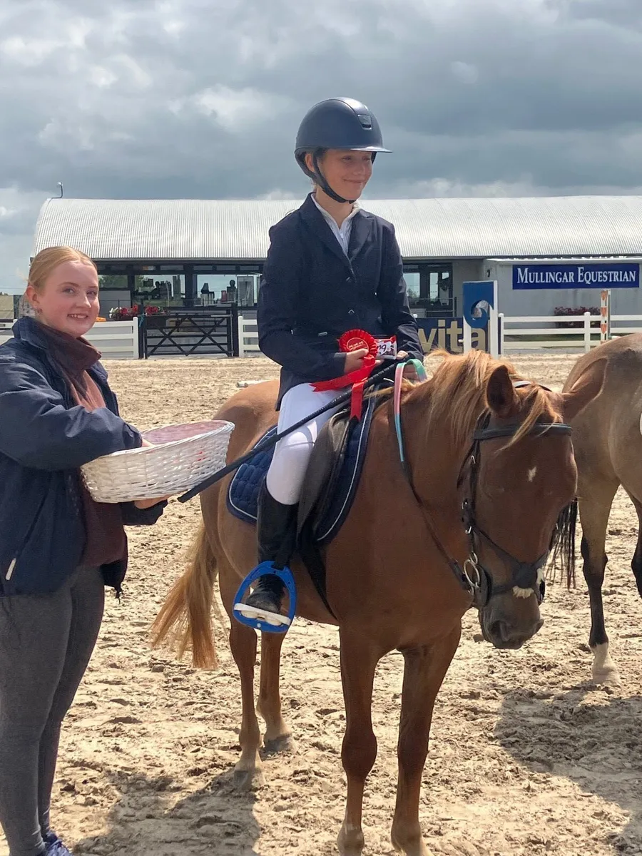 ✨123cm pony, 6 and 7 year old prospect ✨ - Image 1