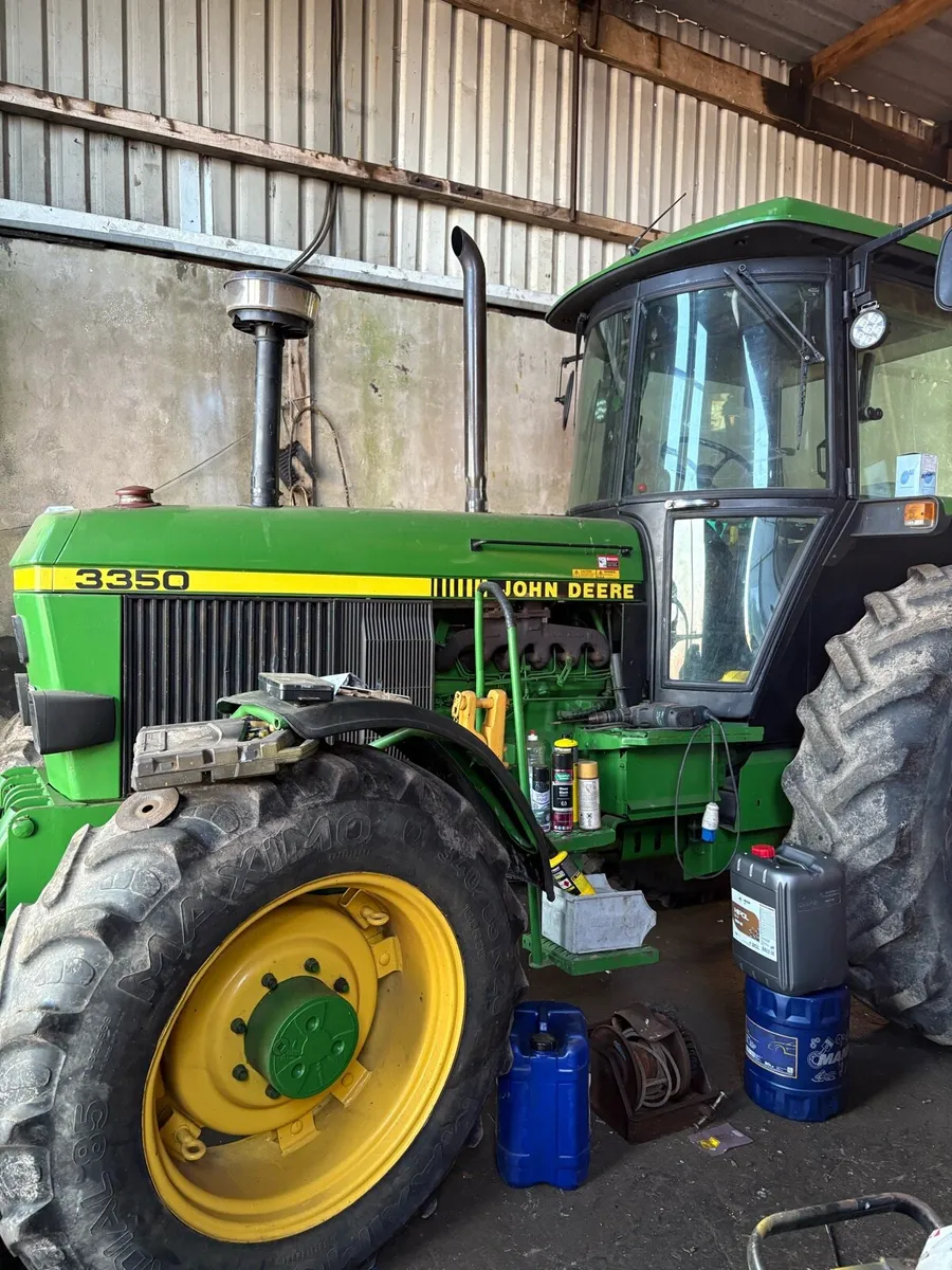 Yard Clear out - Image 4