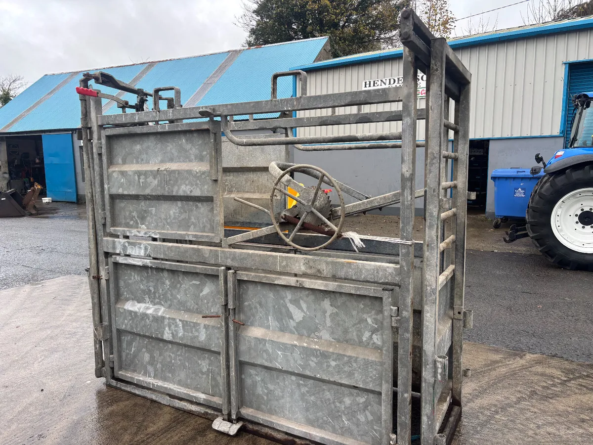 Galvanised Cattle crush - Image 1