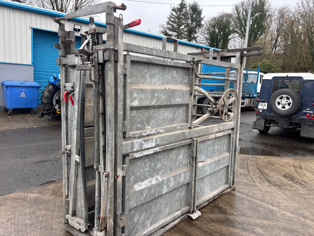 Galvanised Cattle crush - Image 2