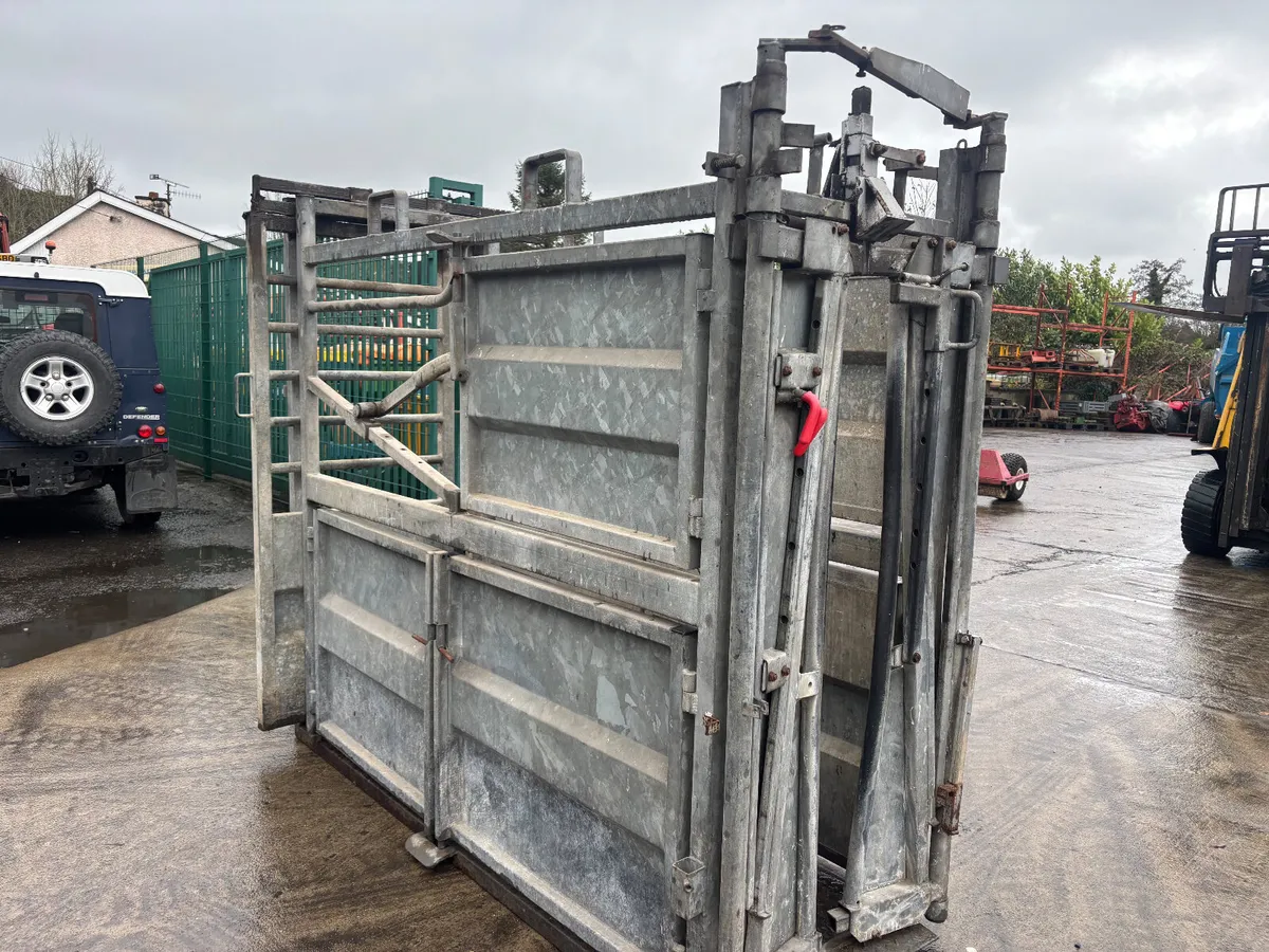 Galvanised Cattle crush - Image 3