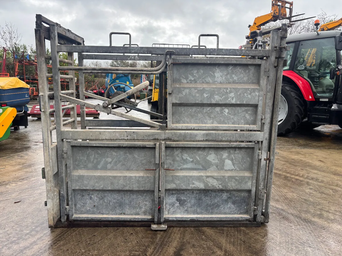 Galvanised Cattle crush - Image 4