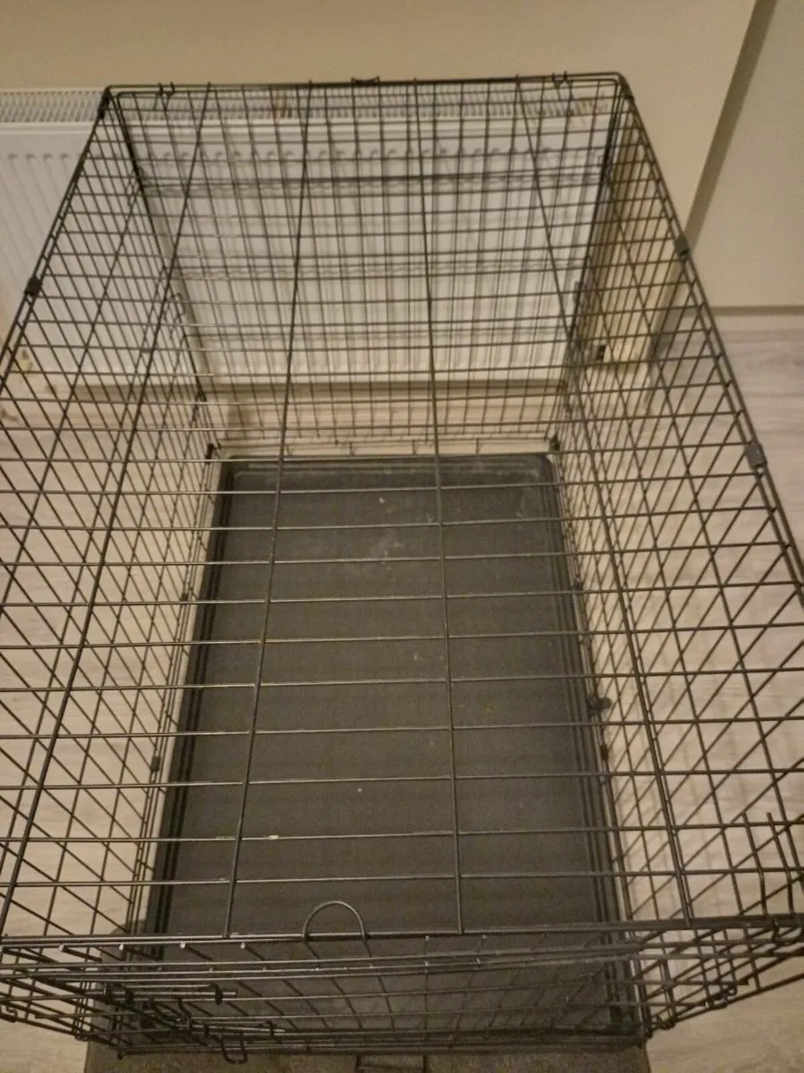 Extra large dog travel crate. - Image 4