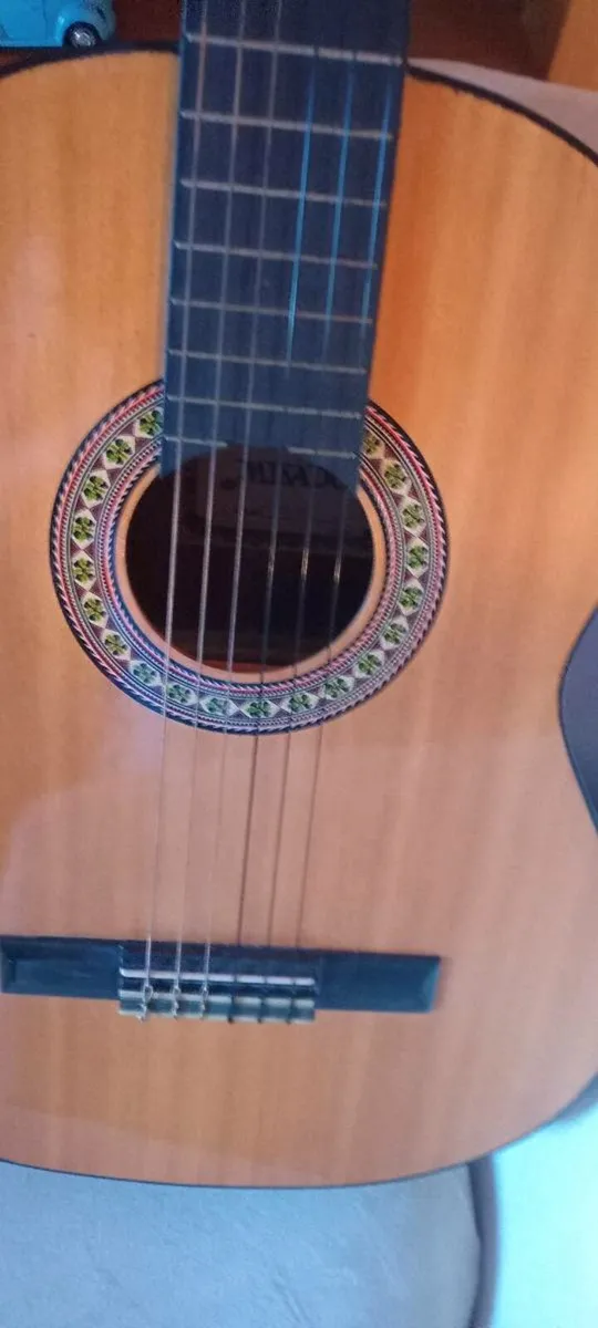 Acoustic Guitar - Image 2