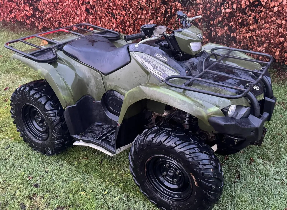 🌲 2023 Yamaha Kodiak 450 Low Hours 🌲 - Image 1