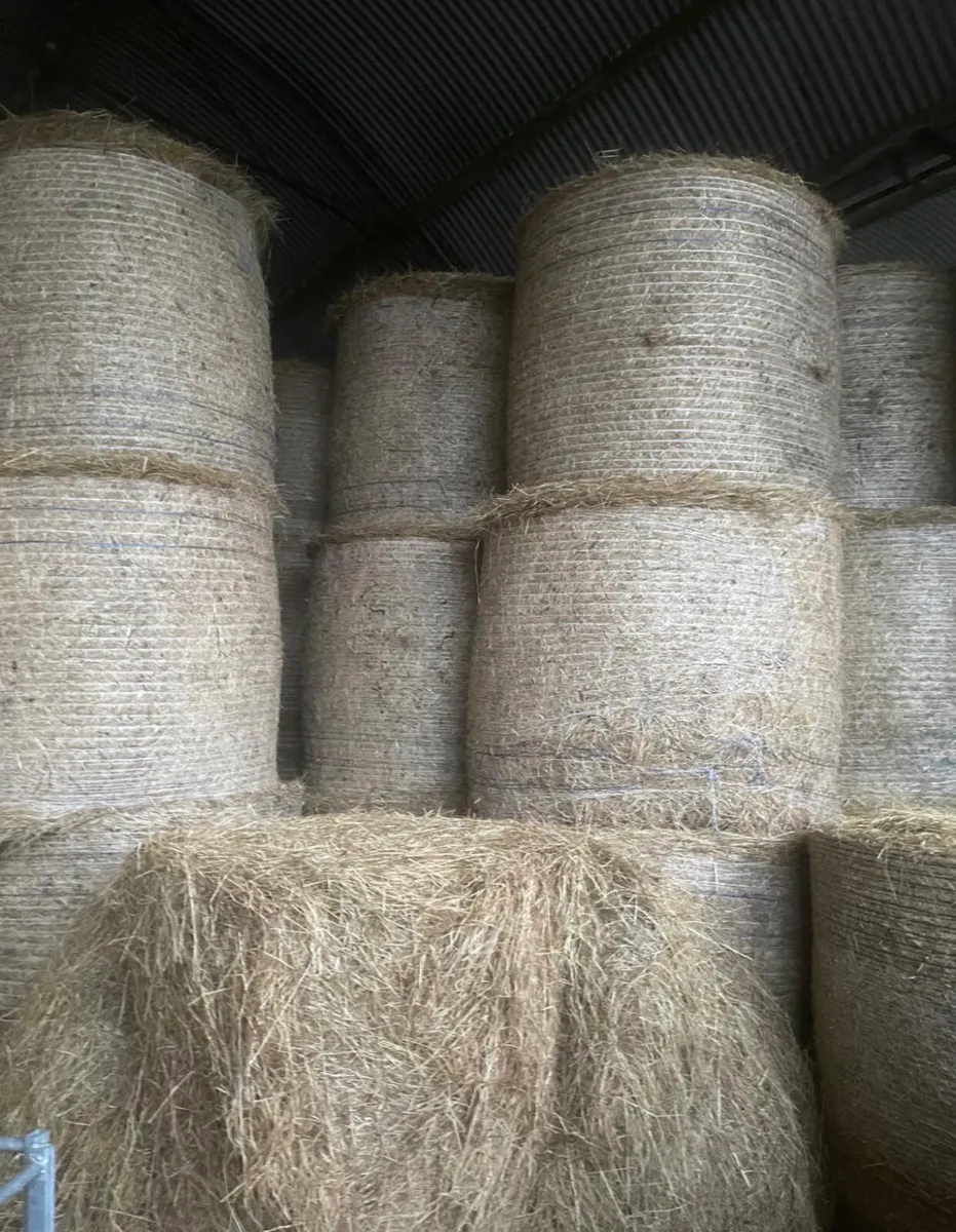 Hay for sale