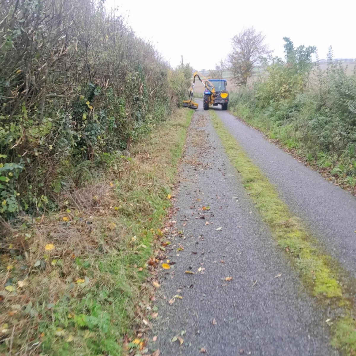 Hedgecutting Services - Image 3