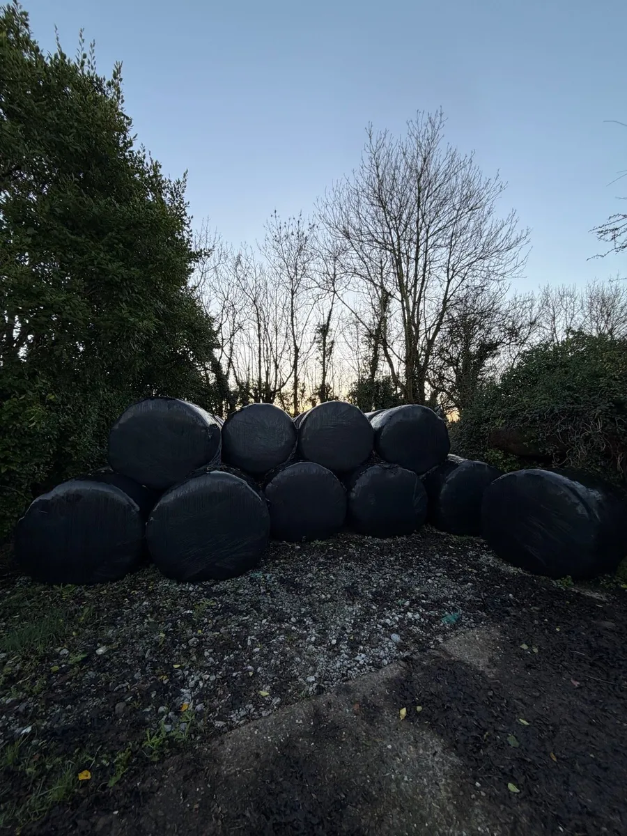 Chopped Silage Bales - Image 1