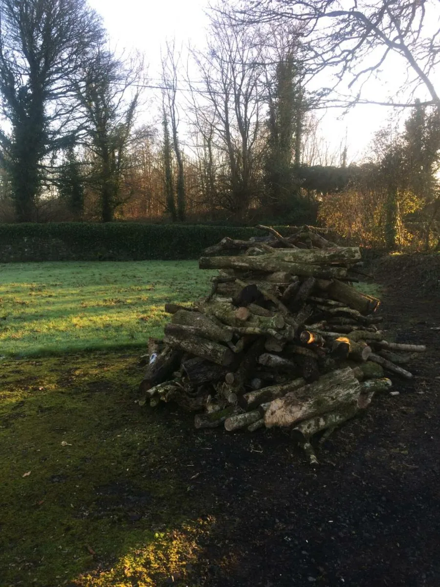Hardwood Firewood lengths for Sale - Image 2