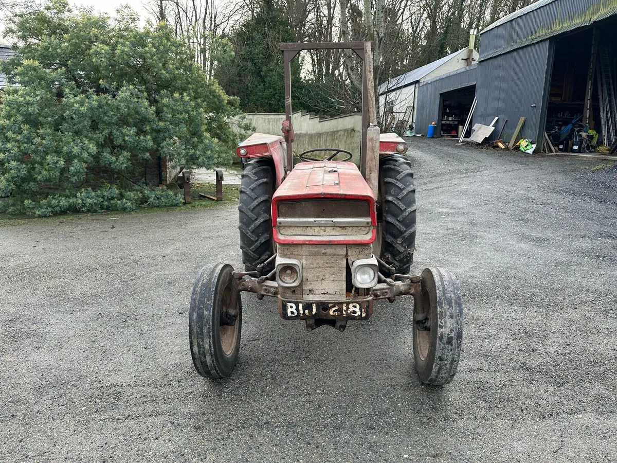 Massey Ferguson 135 - Image 2
