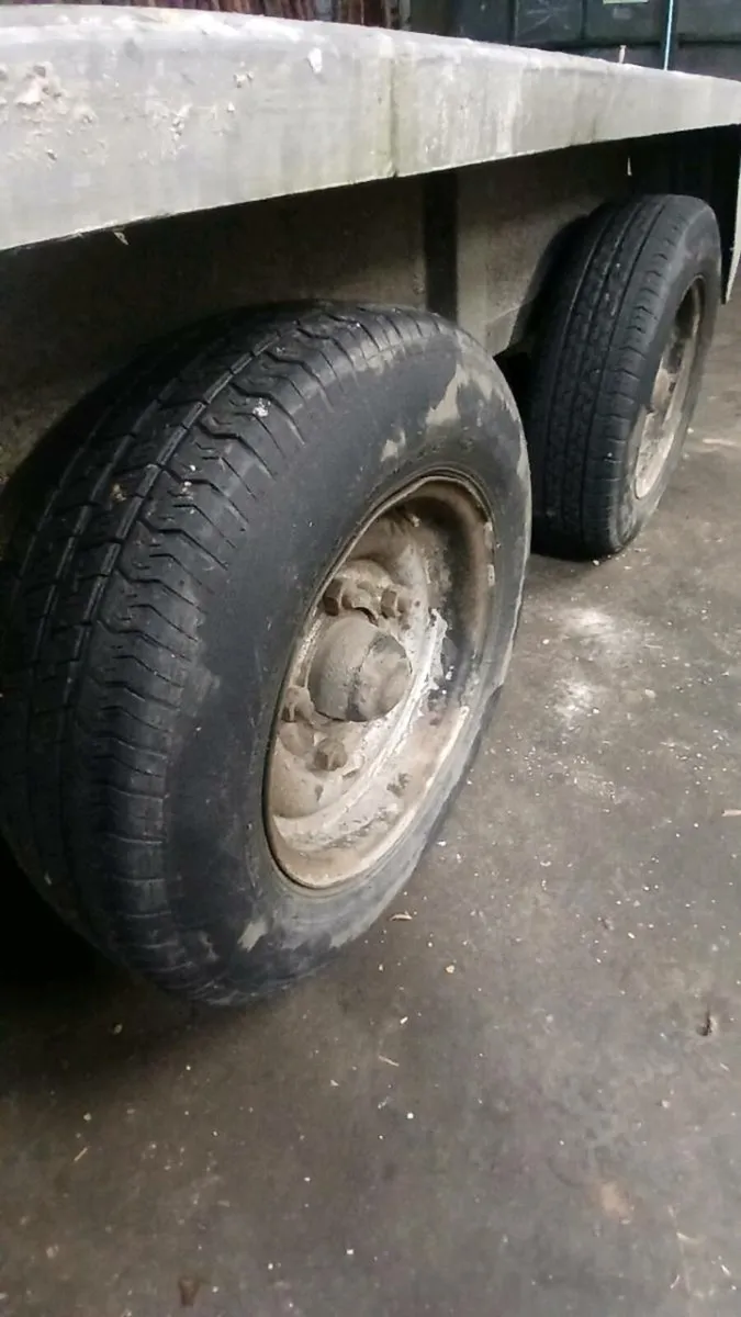 Predator tri axle plant trailer - Image 3