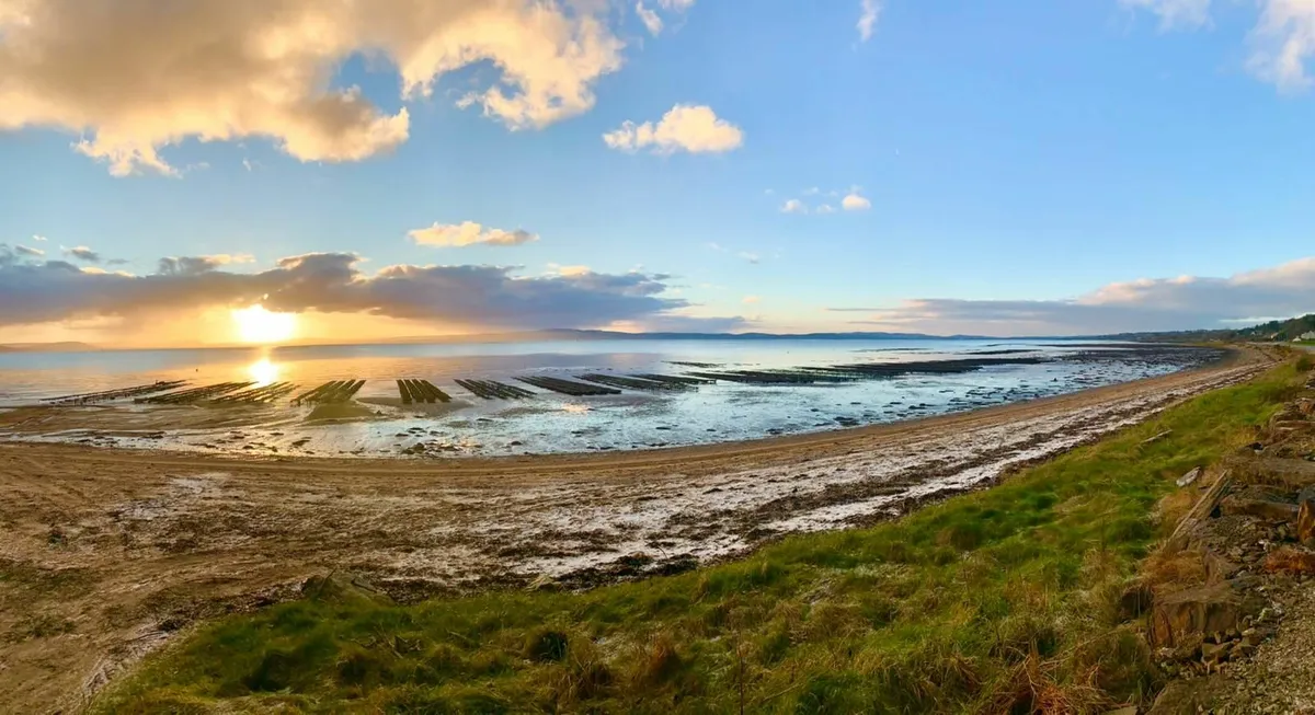 Oyster Farm for Sale – Lough Foyle - Image 3