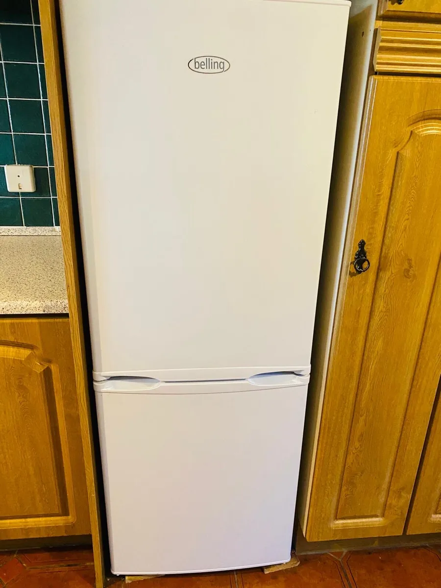 Fridge Freezer - Image 1