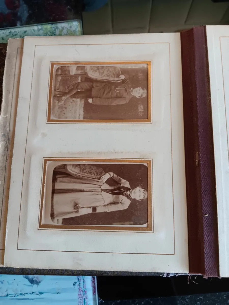 Antique photo album - Image 4