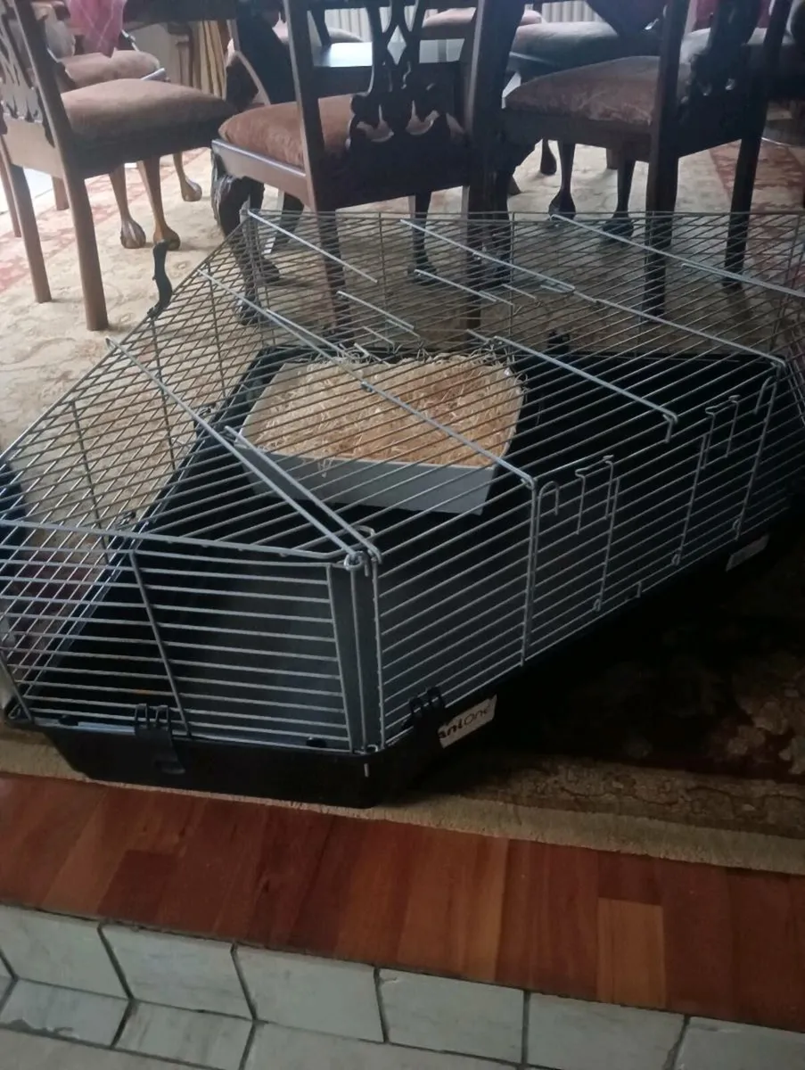 As new large cage , - Image 2
