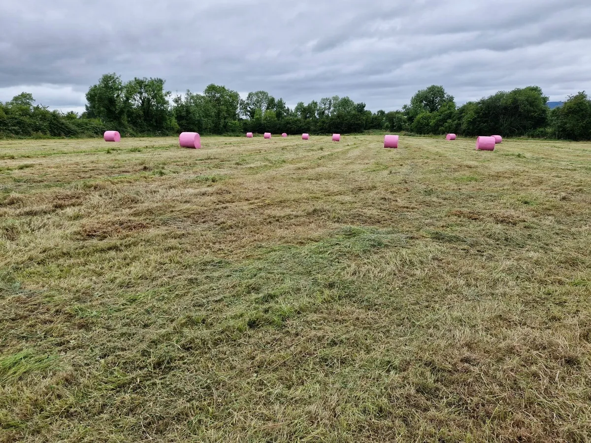 Horse haylage for sale - Image 3