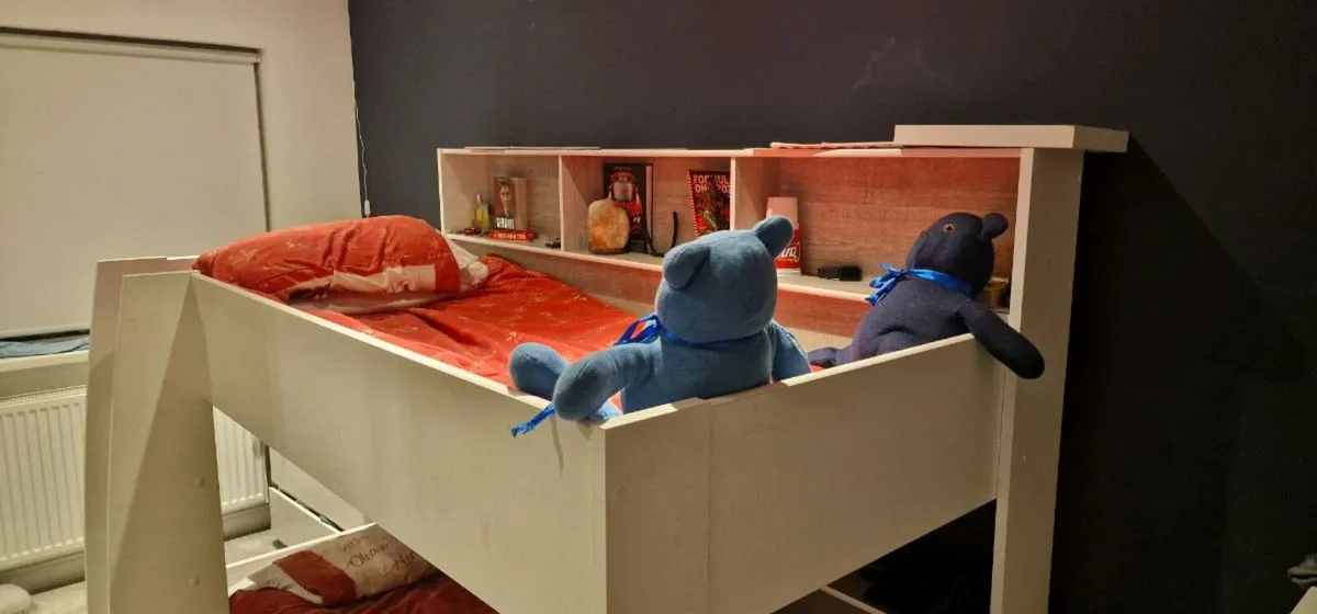 **FREE** - Bunk Bed with shelves & storage drawer - Image 2