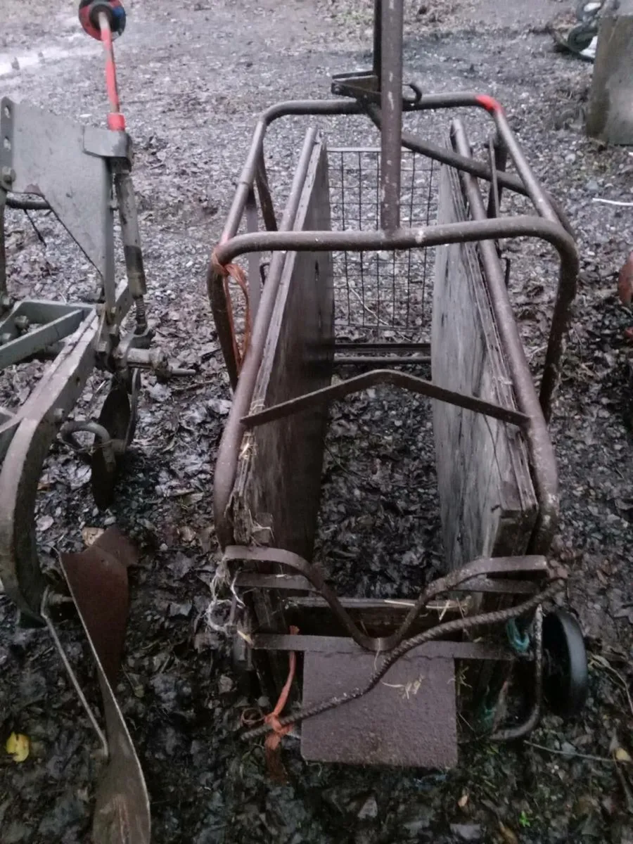 Shed clearout - Image 3