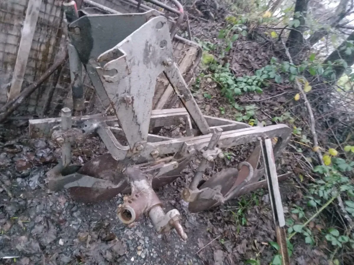 Shed clearout - Image 4