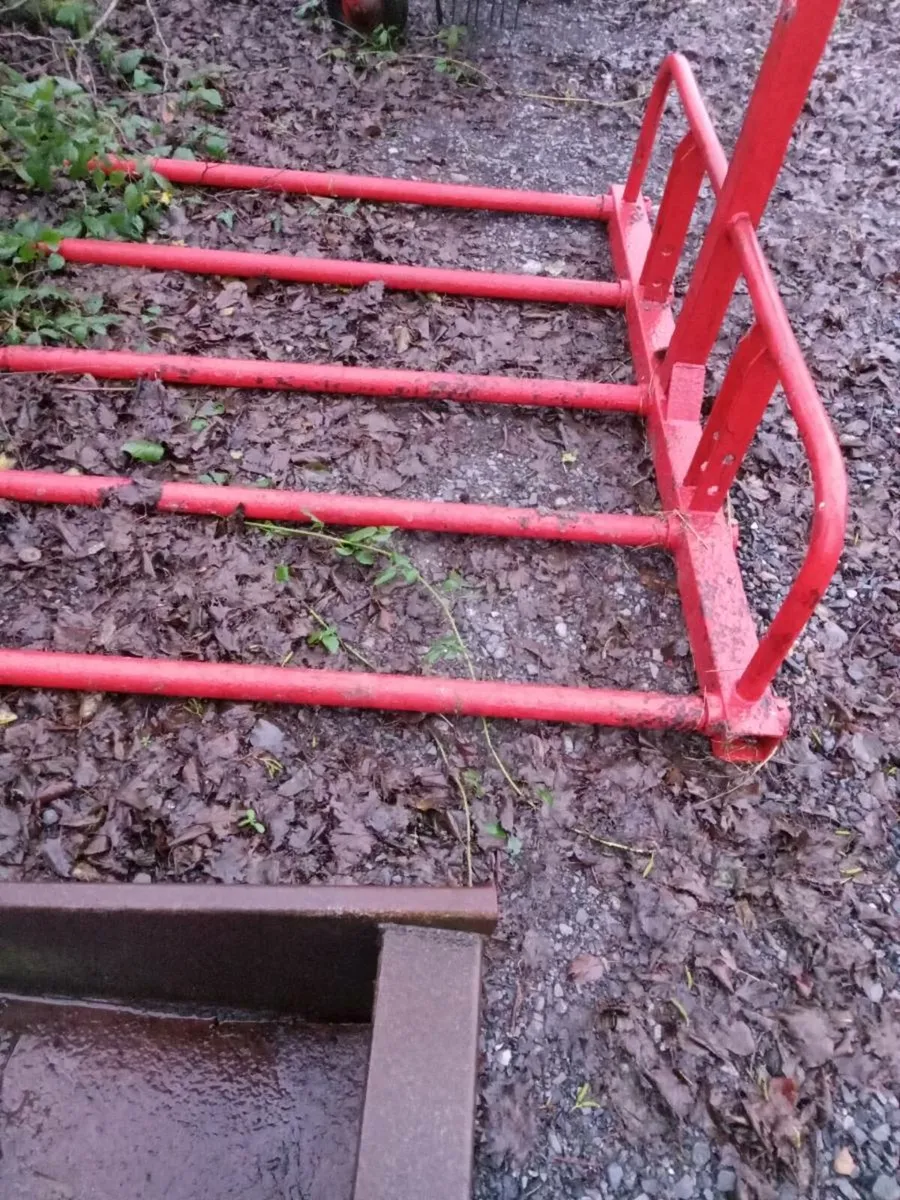 Shed clearout - Image 1