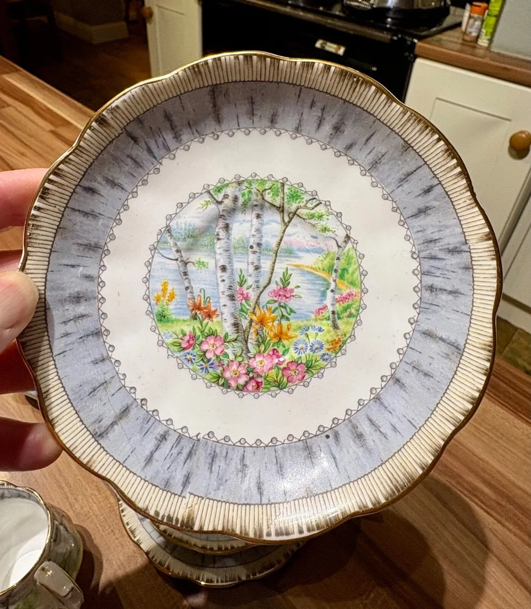 Royal Albert Bone China -silver birch - Image 2