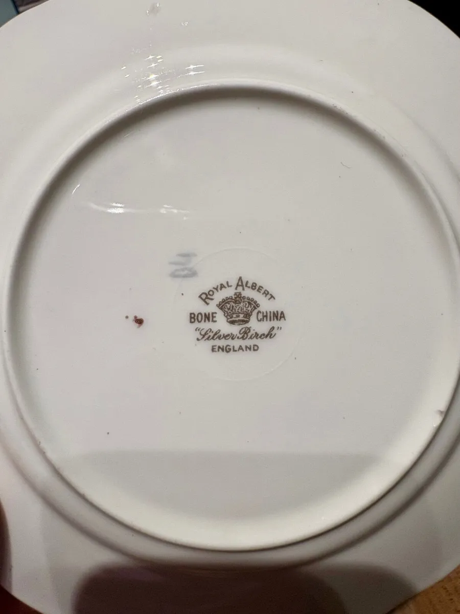 Royal Albert Bone China -silver birch - Image 4
