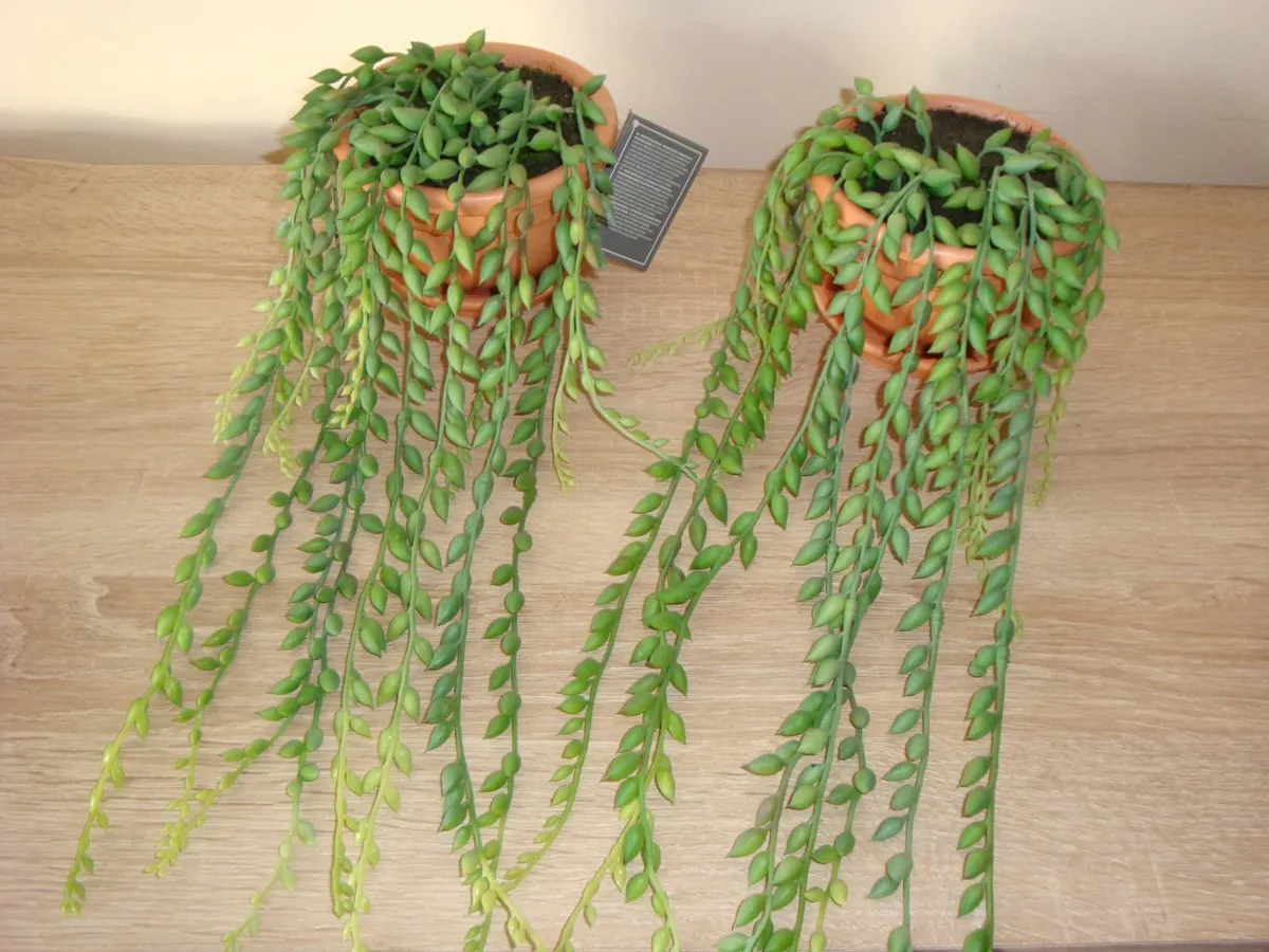 Artificial string of tears plants - Image 1
