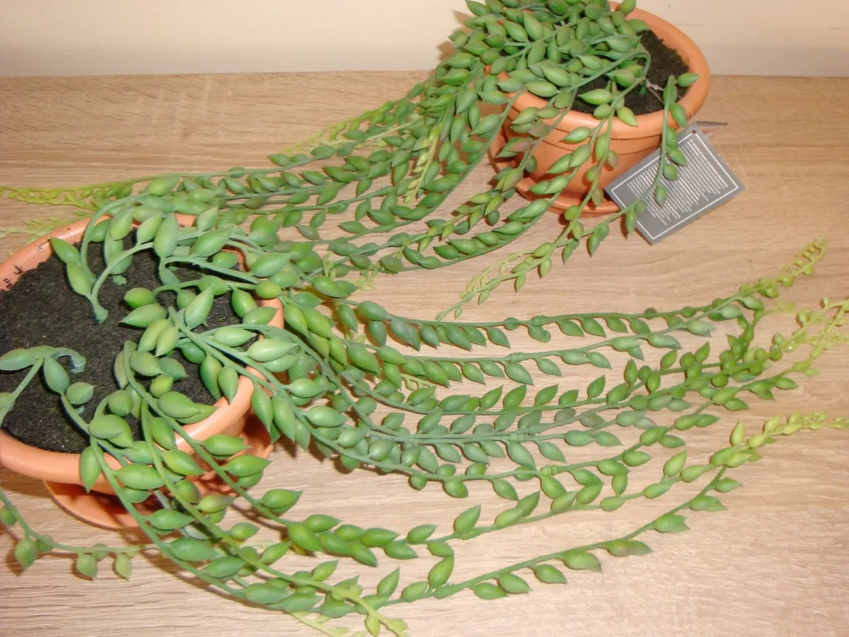 Artificial string of tears plants - Image 3