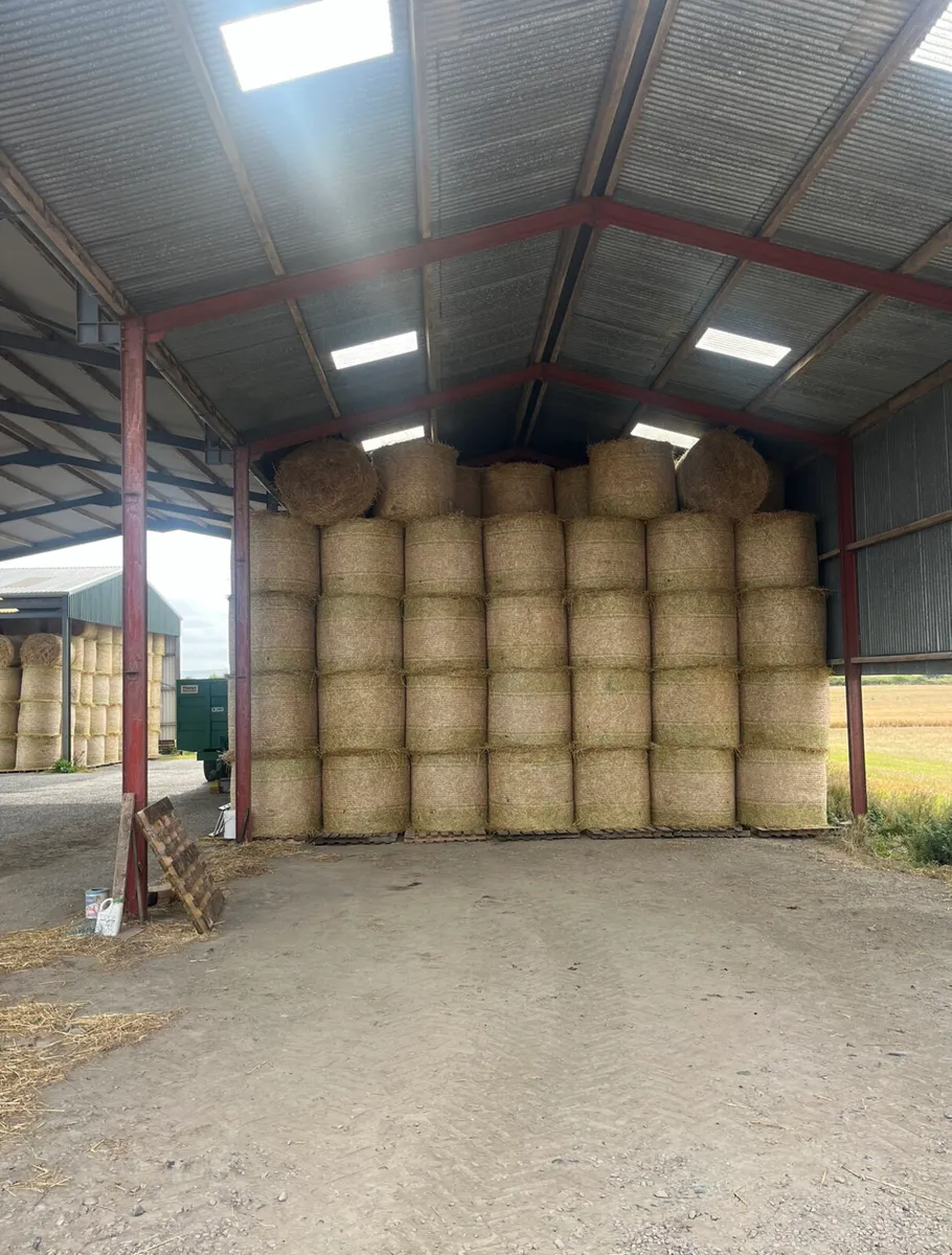 Straw for sale - Image 1