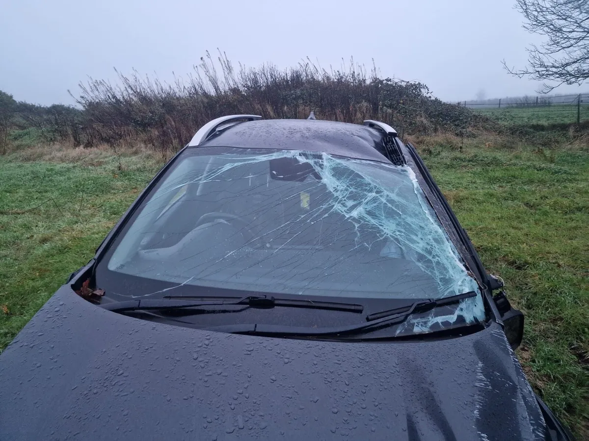 Kia Sconic - Image 1