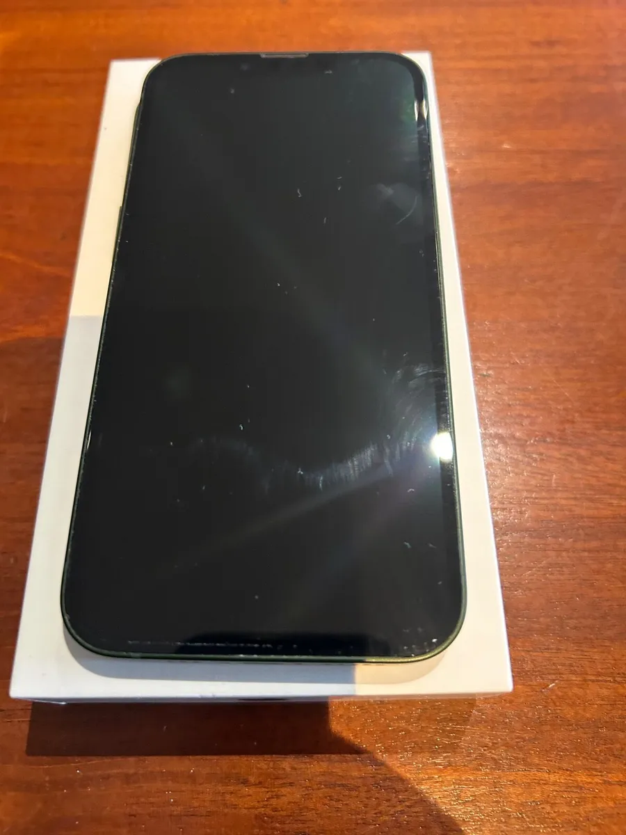 iPhone 13 Racing Green - Image 1