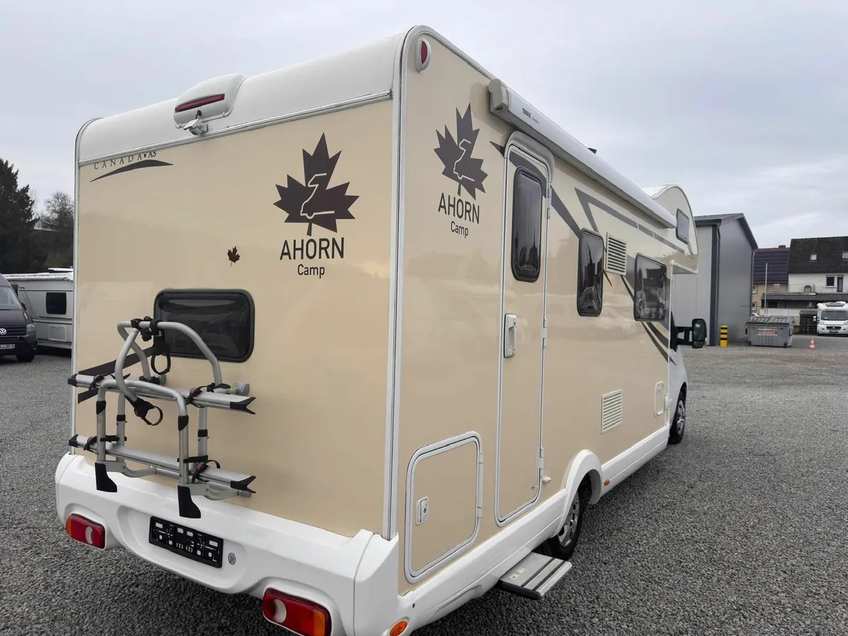 2019 AHORN Camp Motorhome Bunk Beds – 14,940 km - Image 3