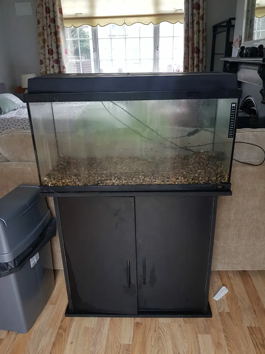 Fish Tank 150L - Image 1