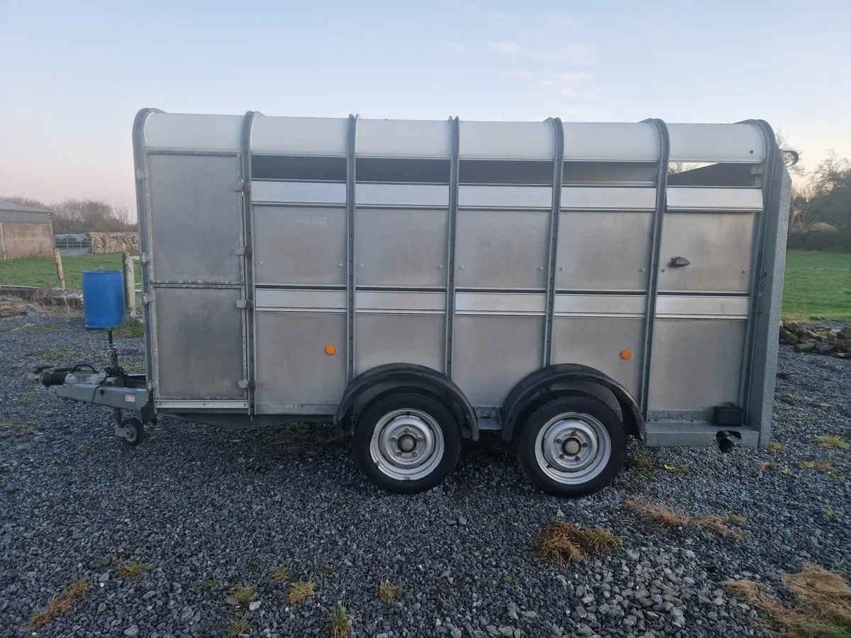 12X5 Ifor Williams cattle trailer - Image 1