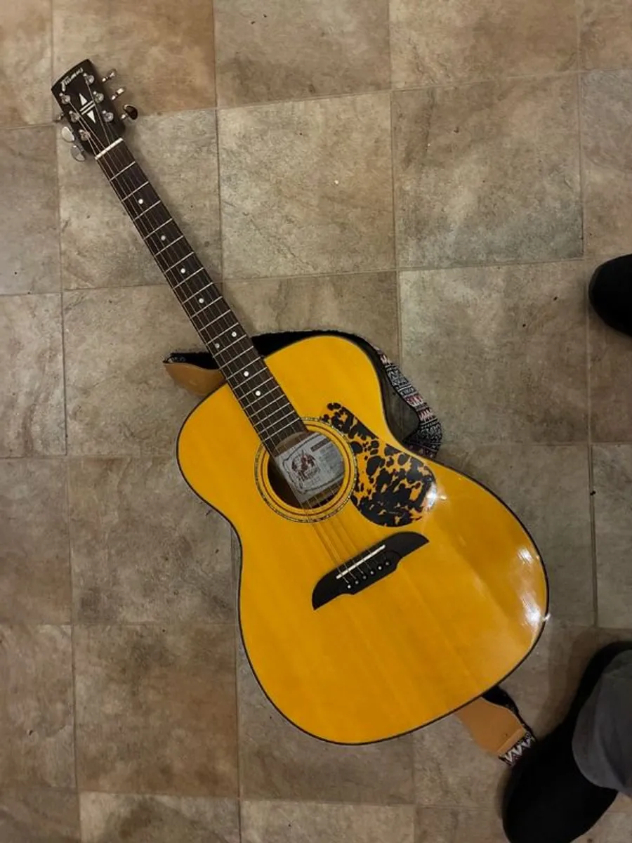 Framus Legacy FP-14SV - Image 2